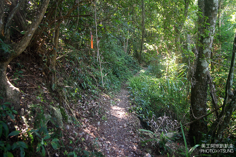 谷關七雄八仙山【松鶴線】