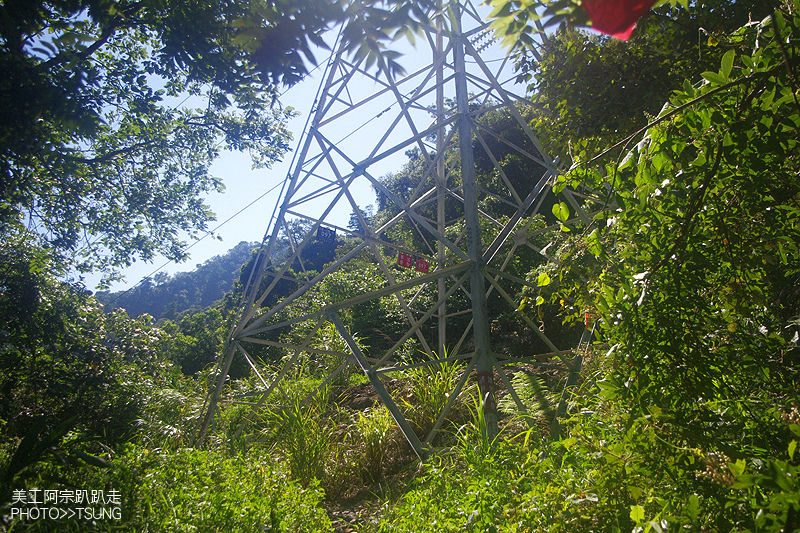 谷關七雄八仙山【松鶴線】