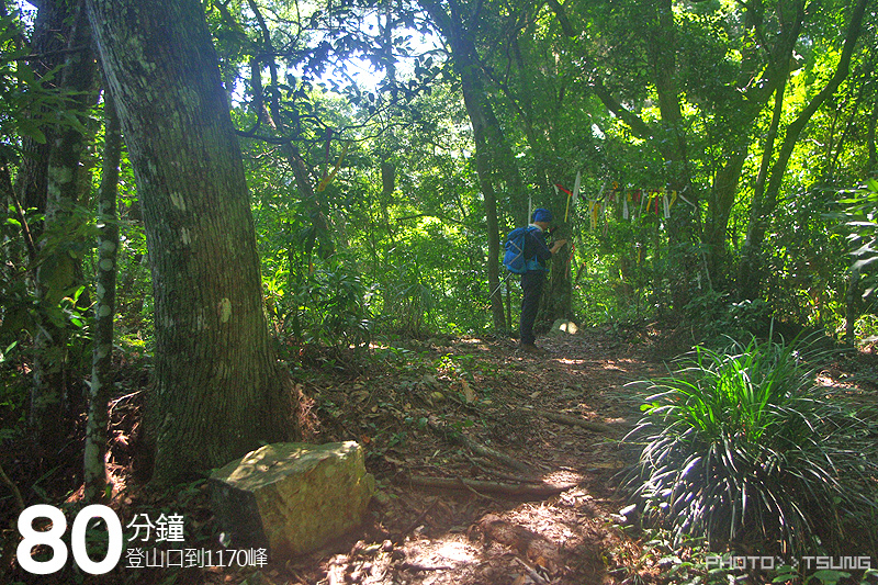 谷關七雄八仙山【松鶴線】