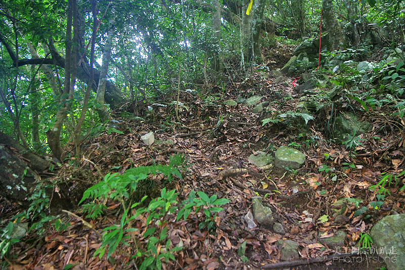 谷關七雄八仙山【松鶴線】