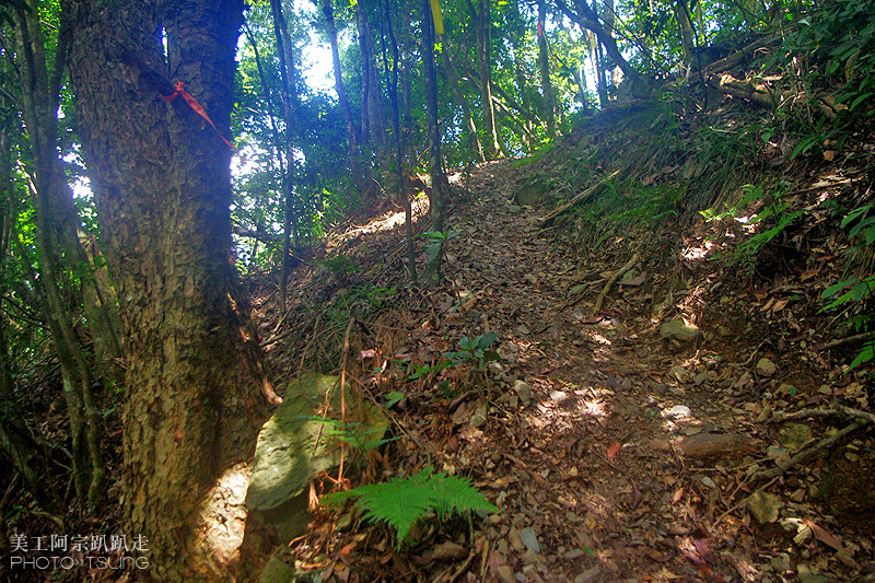 谷關七雄八仙山【松鶴線】