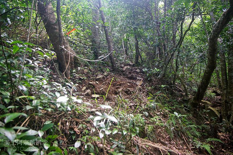 谷關七雄八仙山【松鶴線】