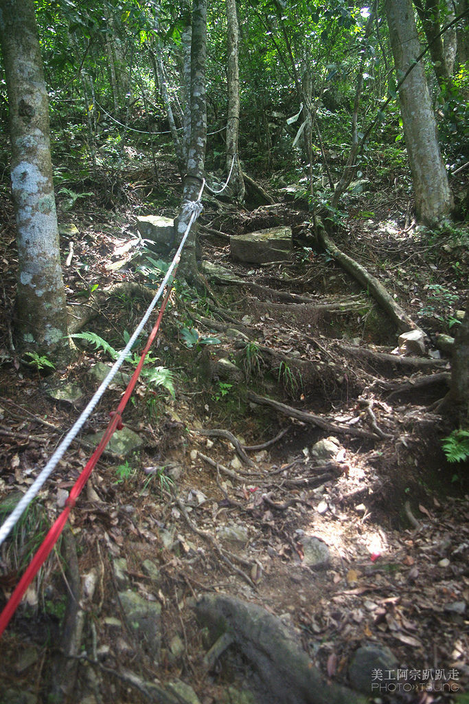 谷關七雄八仙山【松鶴線】