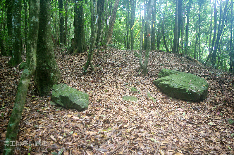 谷關七雄八仙山【松鶴線】