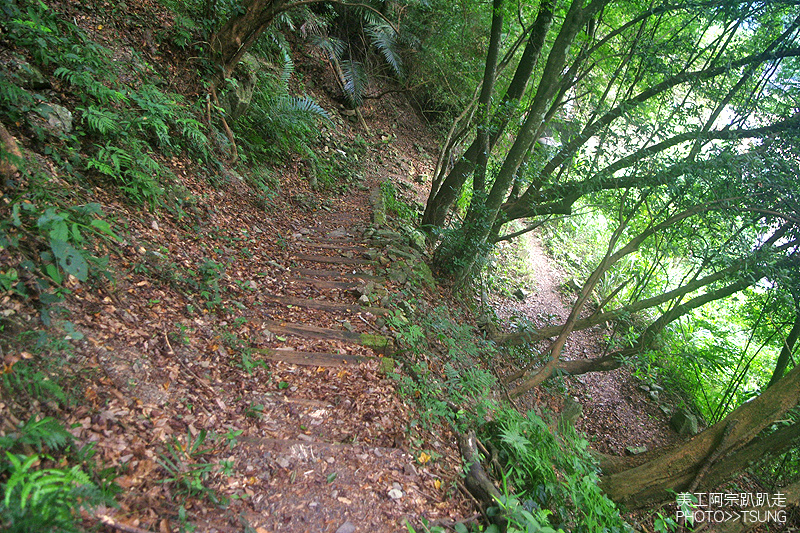 谷關七雄八仙山【松鶴線】