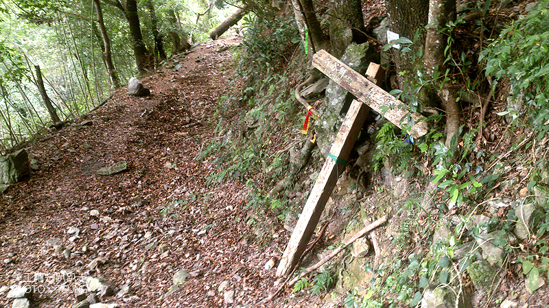 谷關七雄八仙山【松鶴線】