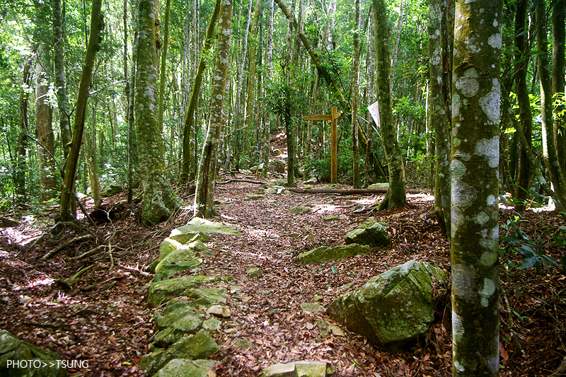 谷關八仙山