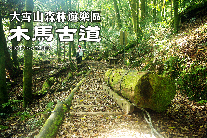 大雪山國家森林遊樂區【木馬古道】全台灣最標準的林道 @ 美工阿宗趴趴走(首頁) :: 痞客邦 PIXNET ::