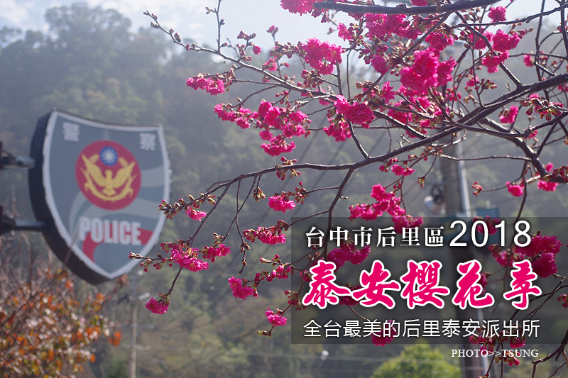 【2018台中賞櫻】后里泰安派出所花況(2月16日櫻花60%盛開) @ 美工阿宗趴趴走(首頁) :: 痞客邦 PIXNET ::