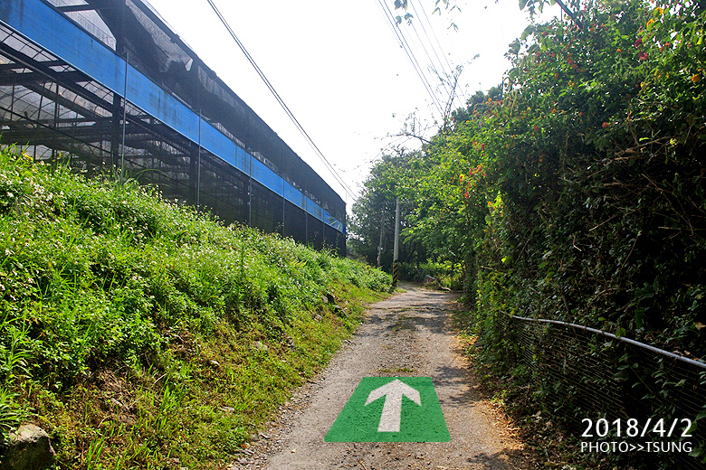 馬崙山登山口路線