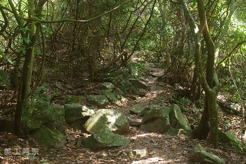 波津加山(谷關線)