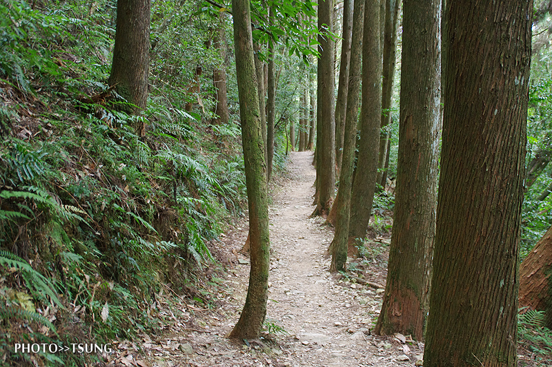 橫嶺山自然步道