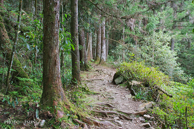 橫嶺山自然步道