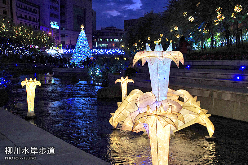 柳川水岸步道今年的水中聖誕樹登場囉