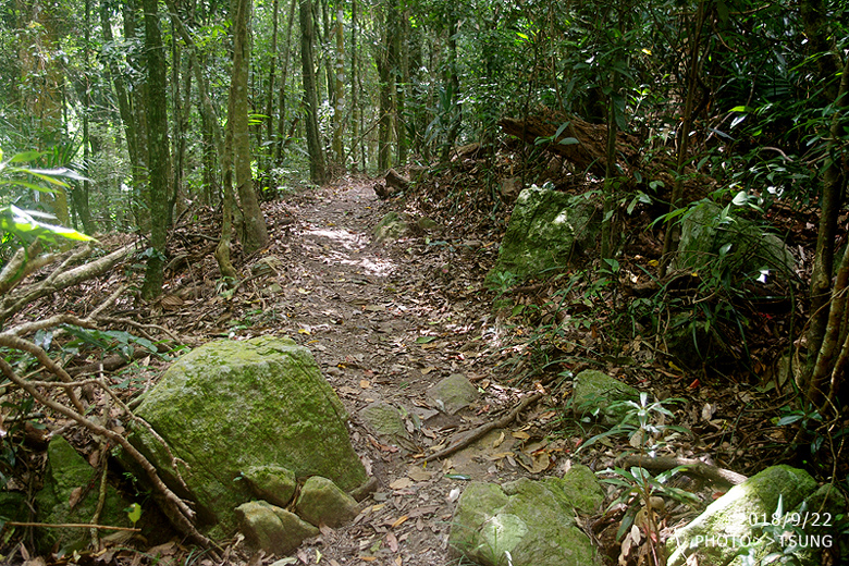 白毛山