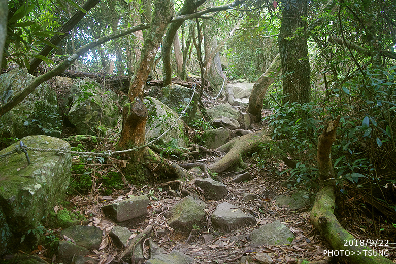 白毛山  