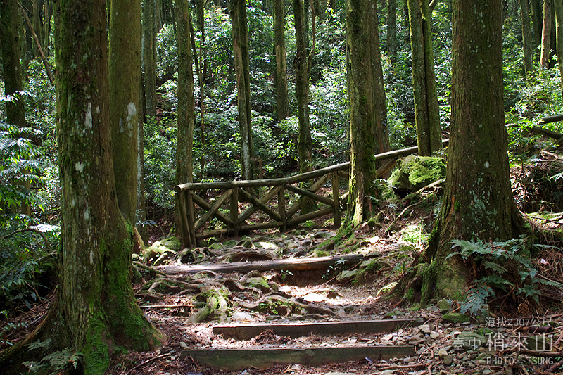 台中稍來山│台灣小百岳│35K遊樂區線