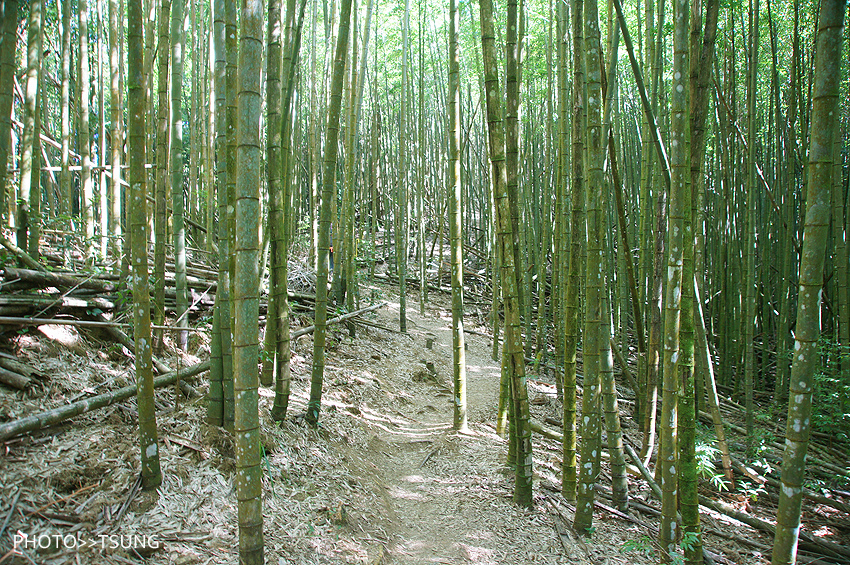 台中.長壽山