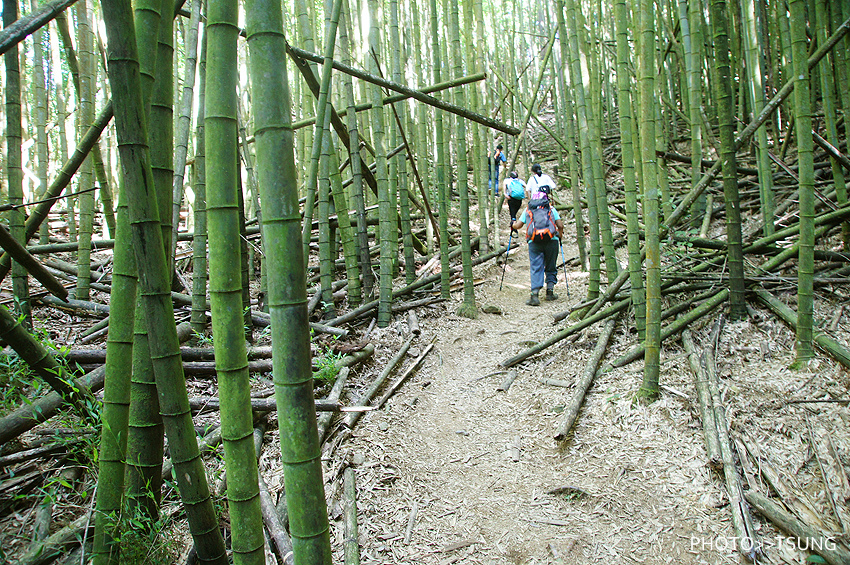 台中.長壽山