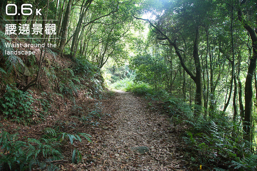 台中.長壽山