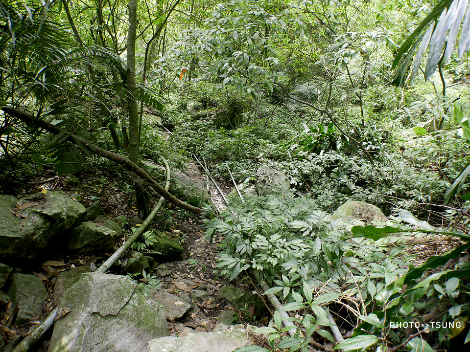 屋我尾山  