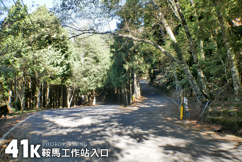 稍來小雪國家森林步道