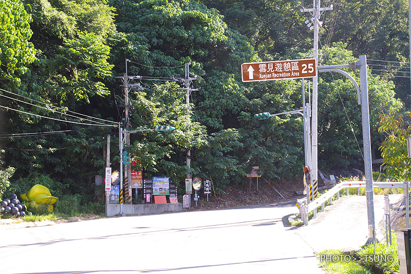 雪見北坑山大板根