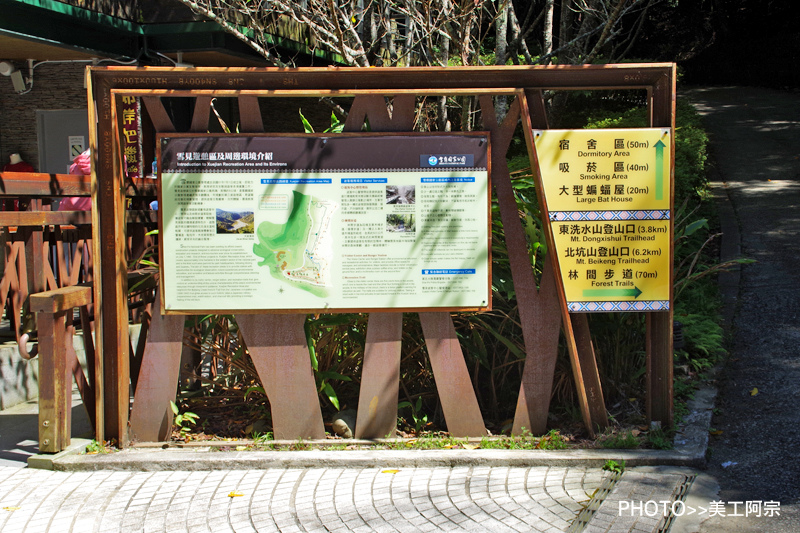 雪見北坑山大板根