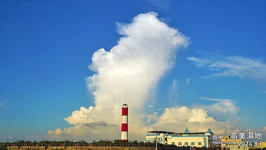 2024.8.1 高美濕地