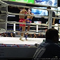 泰國拳賽