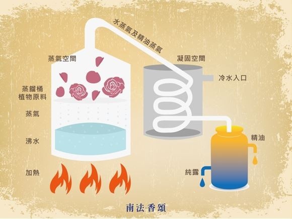 蕾朵2_steam distillation(1).JPG