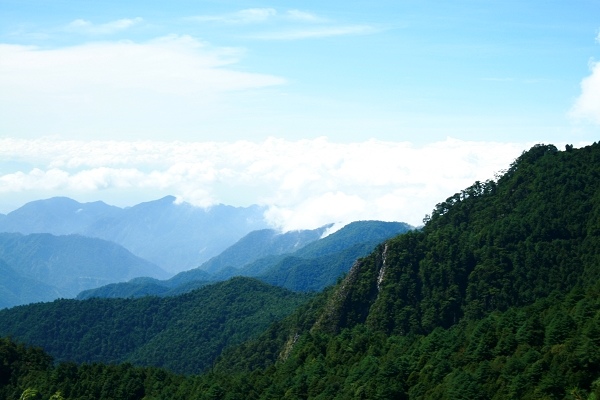 大雪山國家森林遊樂區 台灣山林悠遊網