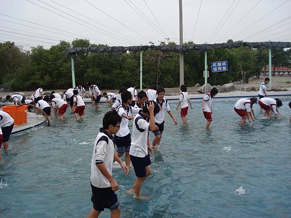 魚兒~魚兒~水中游