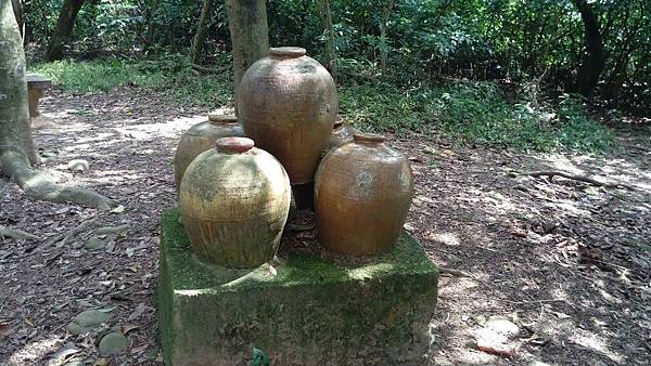 IMAG0133.jpg1063936467 IMAG0133.jpg1063936467