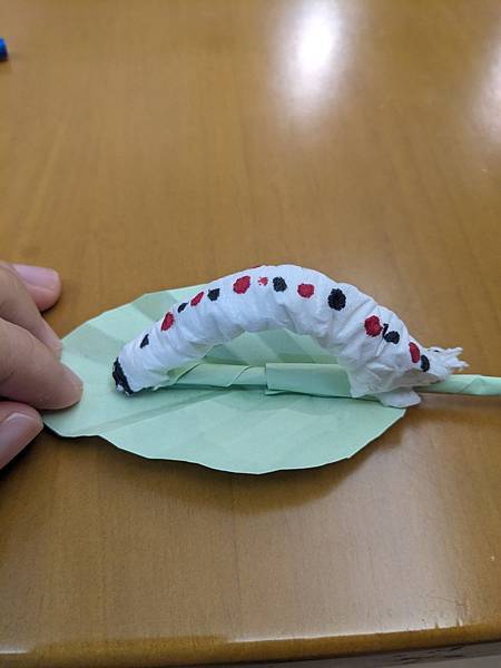 親子自學教材 C