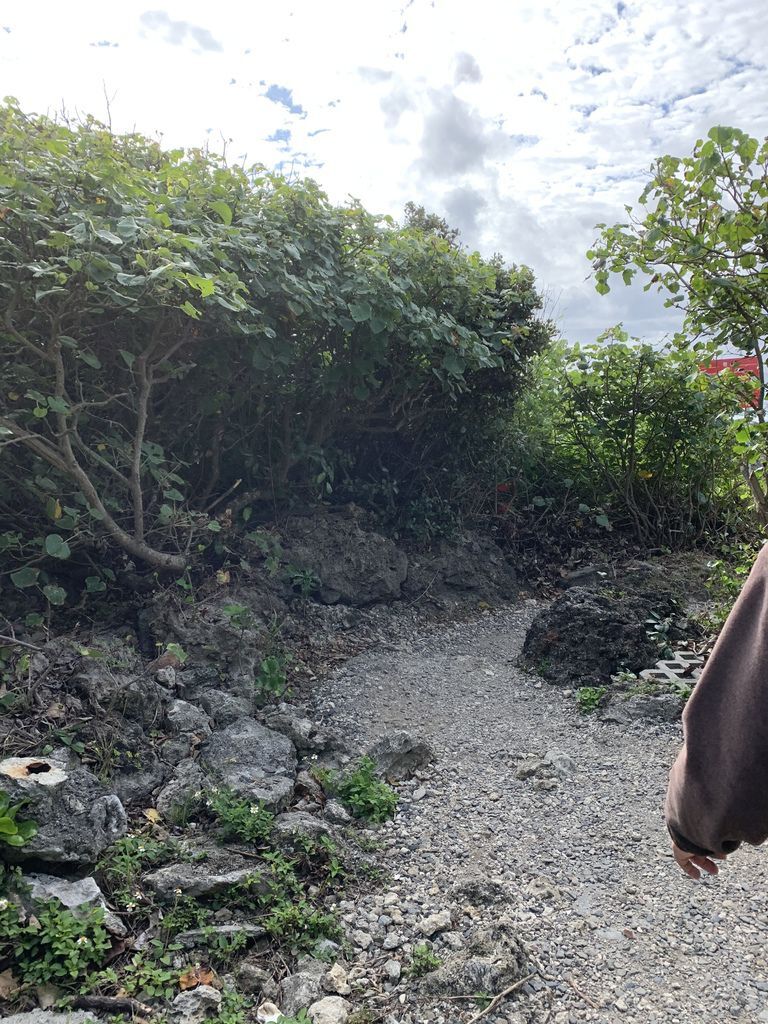 IMG_6514.JPG IMG_6514.JPG