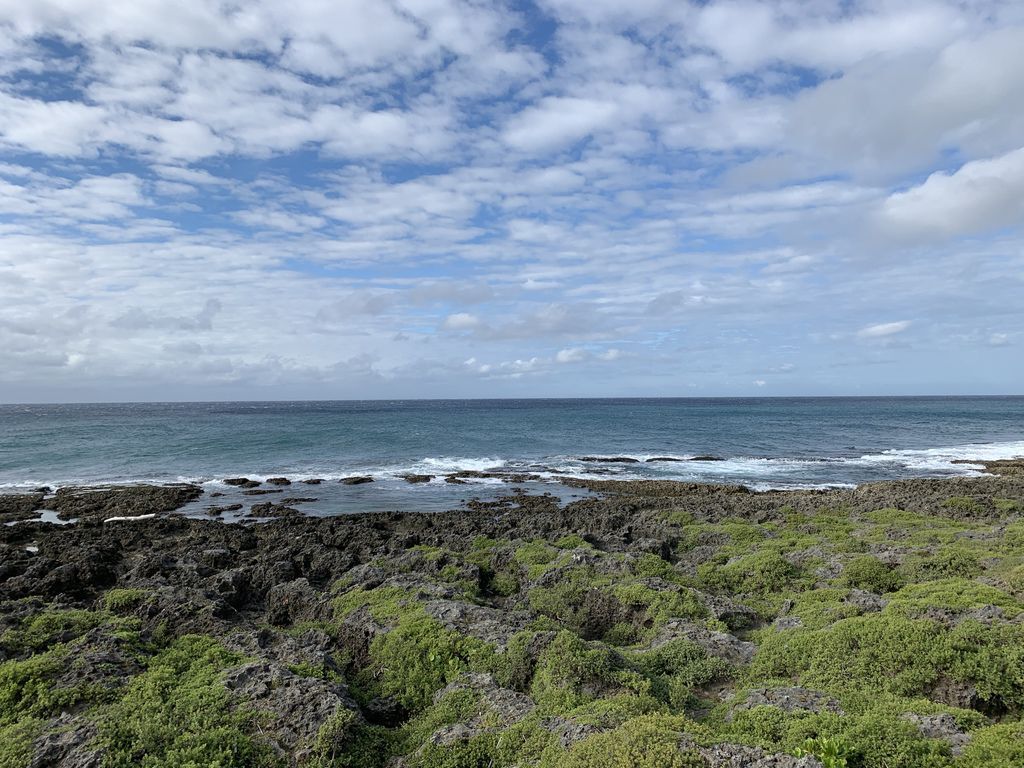 IMG_6534.JPG IMG_6534.JPG