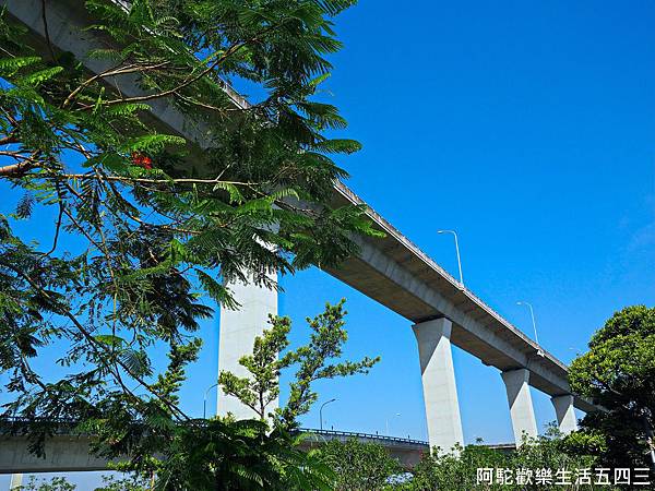 PB240351.jpg PB240351.jpg