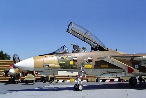 f-14a_iriaf_1_800-1.jpg