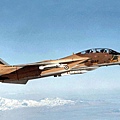 f-14a_iriaf_36056_800-1.jpg