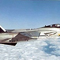 800px-F-14-vf-84.jpg