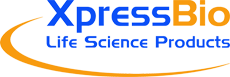 logo EXPRESS.png