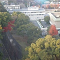 熊本城6.JPG