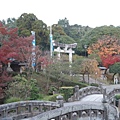 水前寺公園3.JPG