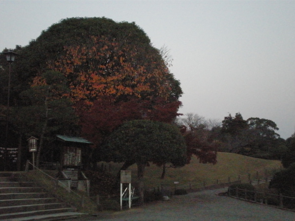 水前寺公園6.JPG