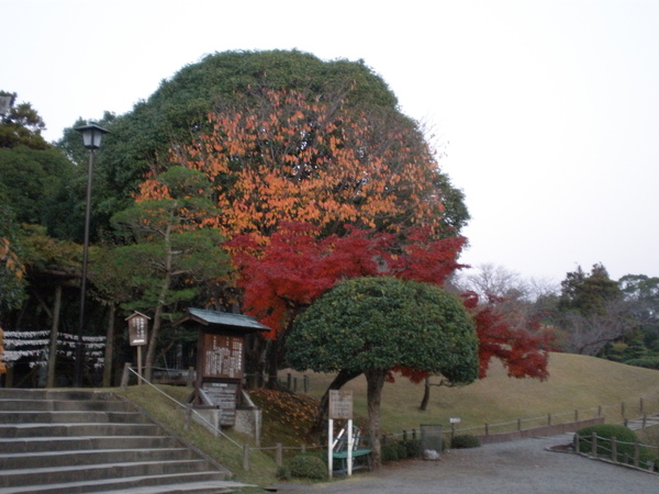 水前寺公園7.JPG