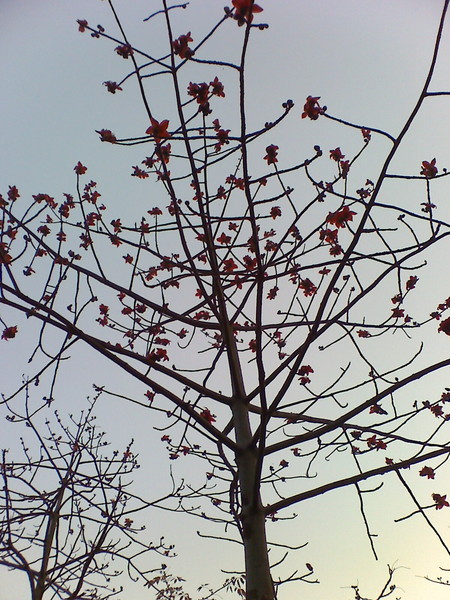moto_0307.jpg moto_0307.jpg