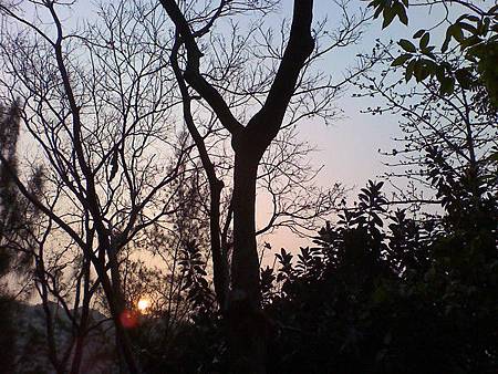 moto_0323.jpg moto_0323.jpg