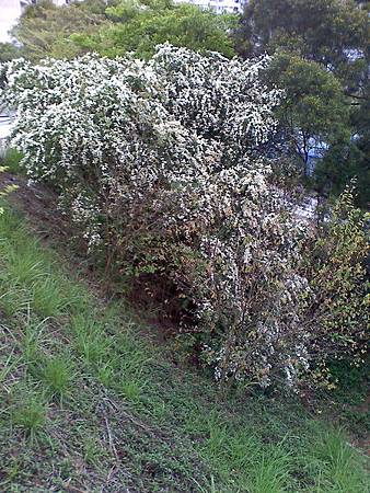 moto_0412.jpg moto_0412.jpg