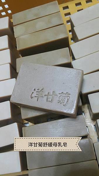 18486132_1468727199814124_3604958858794739183_n